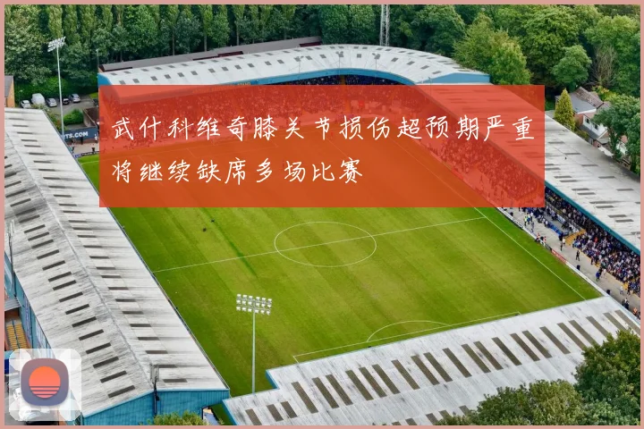 武什科维奇膝关节损伤超预期严重将继续缺席多场比赛