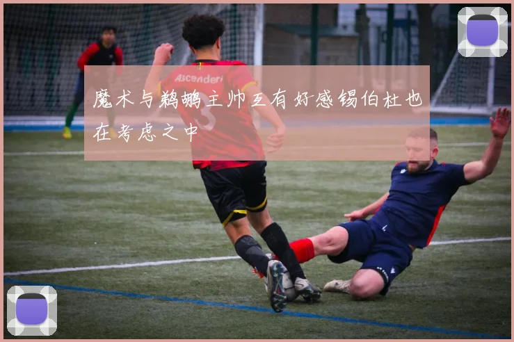 魔术与鹈鹕主帅互有好感锡伯杜也在考虑之中