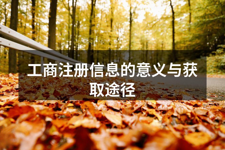 工商注册信息的意义与获取途径