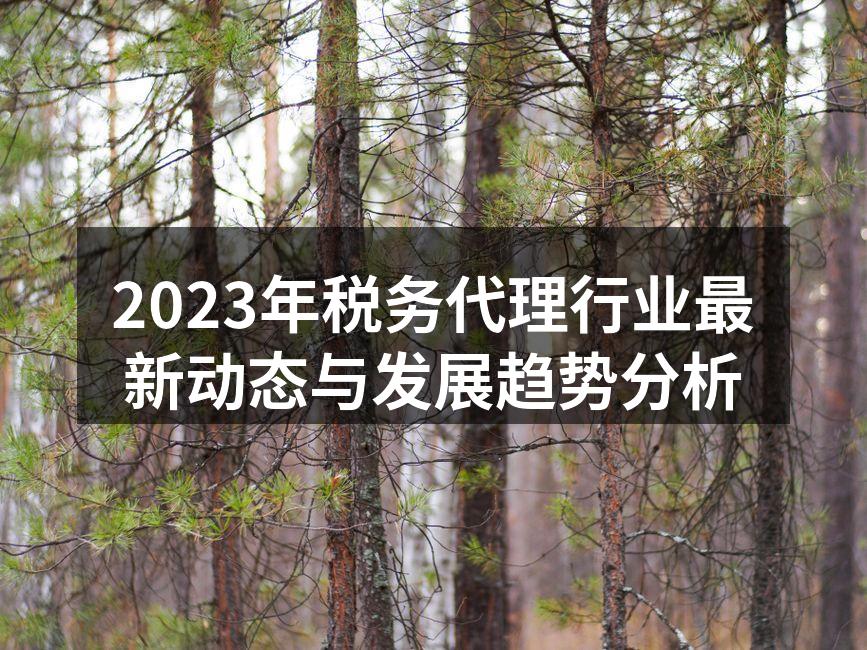 2023年税务代理行业最新动态与发展趋势分析
