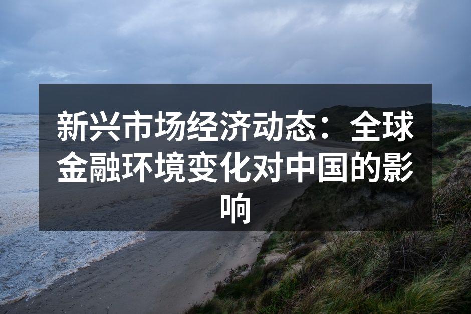 新兴市场经济动态：全球金融环境变化对中国的影响