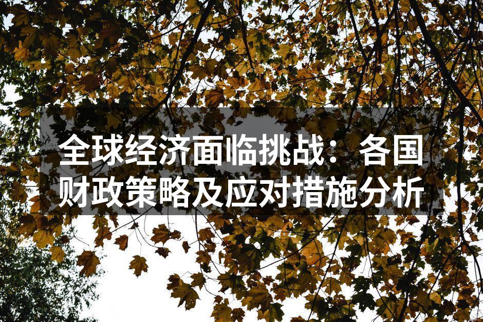 全球经济面临挑战：各国财政策略及应对措施分析
