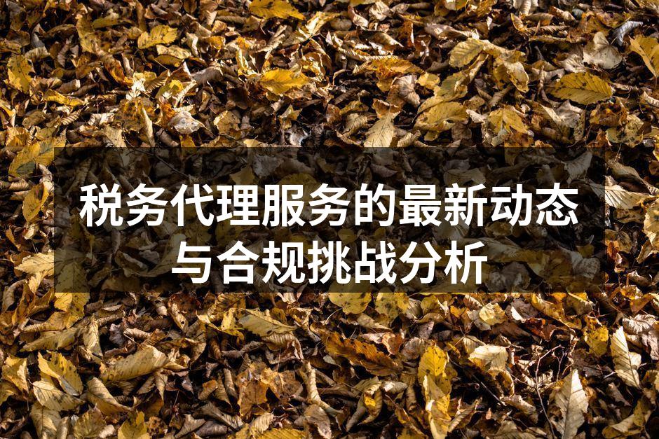 税务代理服务的最新动态与合规挑战分析